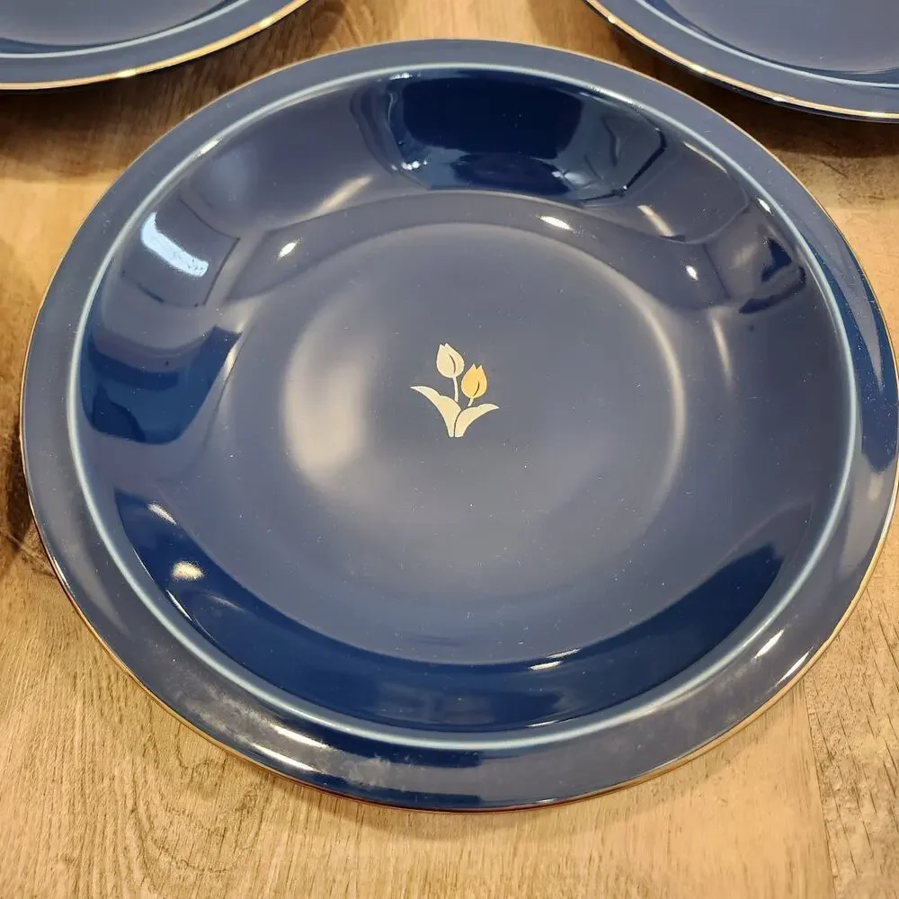Tachikichi Cobalt Blue 5 Pc Floral Plate Set Curry Dinner Tableware Dishes W/Box